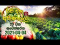 Rividina Arunella 2021 04 04 Rupavahini Agricultural Programme
