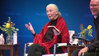 Jane Goodall: Celebrating 90