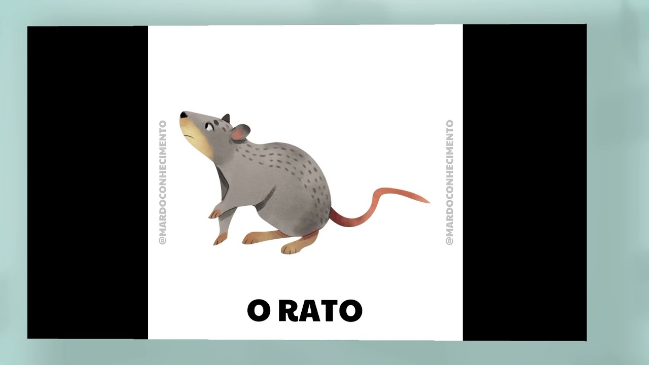 Trava-línguas: O rato roeu a roupa do rei de Roma