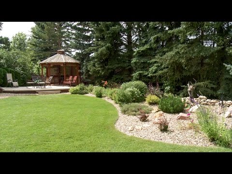 Suburban Acreage Yard