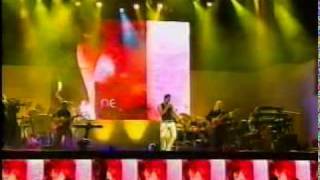Ricky Martin - Raza De Mil Colores (Concierto ALMAS DEL SILENCIO Mexico 2003)