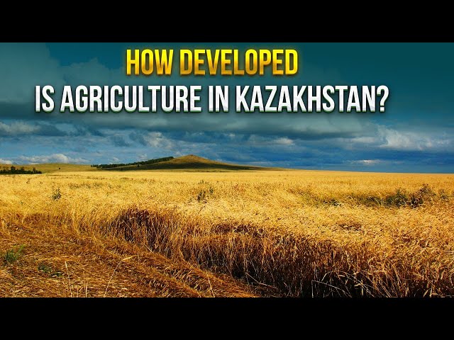 How developed is agriculture in Kazakhstan?