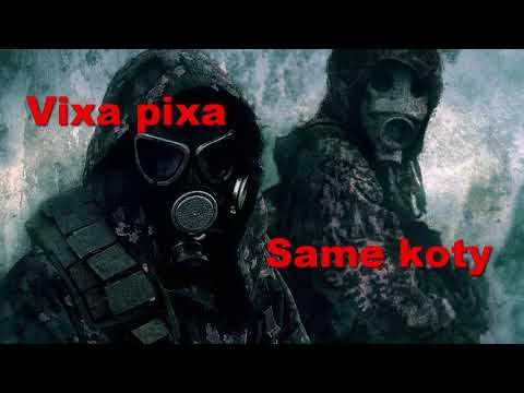 Co robią koty? Jeb o blachy mix Luty 2018