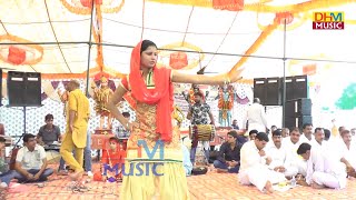 रेनू श्योराण व् राहुल पूठी की झटक - Renu  Nagin Dance  Bithla Jhajjar Program 2017||  DHM MUsic