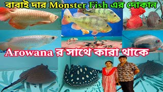 Arowana Fish এর সাথে কারা থাকে | Aquarium Fish Shop | Arowana Fish | Monster Fish | Babai Aquatic 