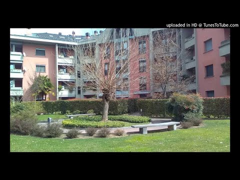 belly ska riddim version