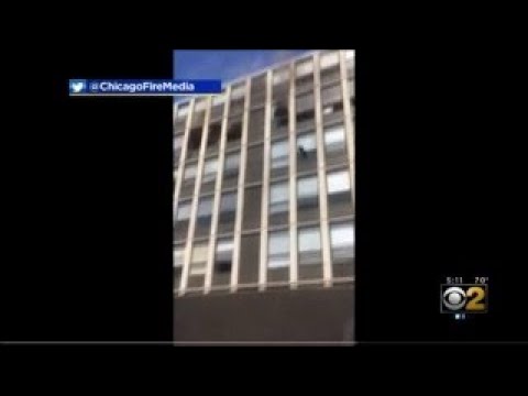 Cat Jumps 5 Floors From Burning Building