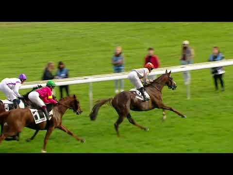 Zurich / October 19, 2025 / 44th Swiss St. Leger - St. Leger Club & Hull's School