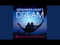 Symphony No. 3 in A Minor, Op. 56 "Scottish": IV. Adagio
