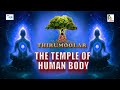 THE YOGIC SECRETS OF THIRUMOOLAR The Temple Of Human Body