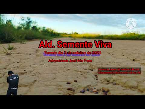 Brooly - Ald. Semente viva