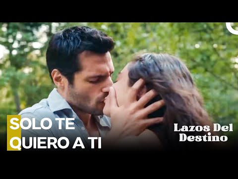 Nuestra Reunión Es Una Señal Para Nuestro Amor - Lazos Del Destino