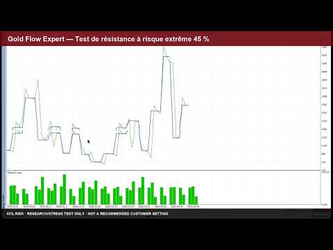 Video Gold Flow Expert