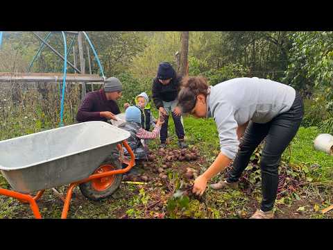 Autumn Harvest in the Carpathians 🍂 Big Family Life, Root Vegetables & Dream House Building 🏡