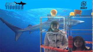 DIA 3 Expo Tiburon127