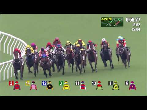 26/6/2021 (782) Victory Scholars -  Z Purton