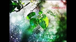 Download lagu Gemercik suara hujan di pepohonan - sejuk dan tenang mp3