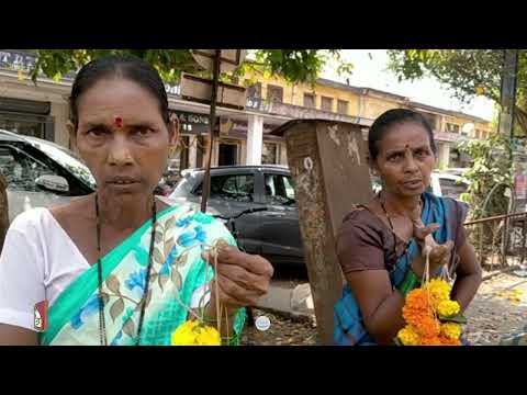 UNSOLD MARIGOLD FLOWERS DISPOSED ALONG ROADSIDE IN MAPUSA