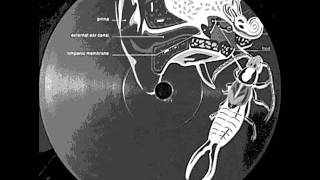 cbass & xyz - 3=2