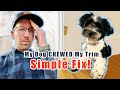 Simple Fix: My Dog Chewed My Trim!