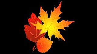 10-11-26 Sunday Worship