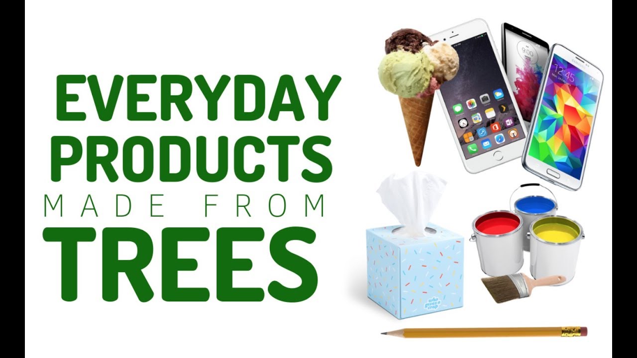 What products are made from trees? Ask Archive