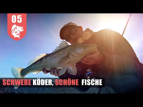 Overweight jigging for zander and perch