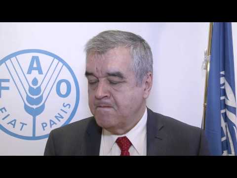 Declaraciones del Coordinador para la respuesta al cólera en Haití, Sr. Pedro Medrano Rojas