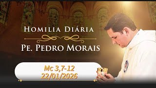 Homilia Diária |22/01/2026 | Mc 3,7-12|
