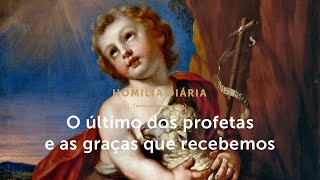 Homilia Diária | O último dos profetas e as graças que recebemos (Natividade de São João Batista)