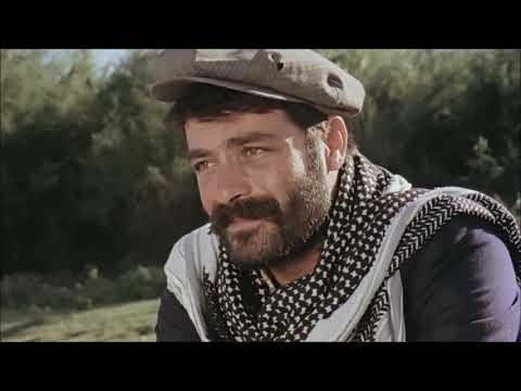 KASANLI BULENT TAS (Sen Öyle Bir Güzel Olki