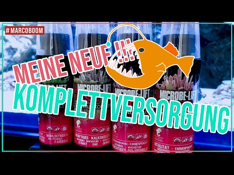 Meine neue Komplettversorgung | Red Sea Reefer XL 425 | Marcoboom