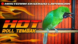 Download lagu 🔴HOT‼️CUCAK IJO GACOR JAMTROK FULL ROLL TEMBAK  mp3