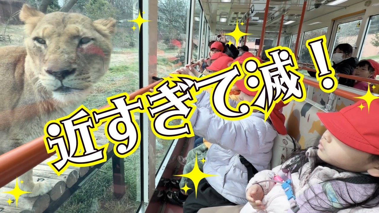 【保育園】近すぎて無理！