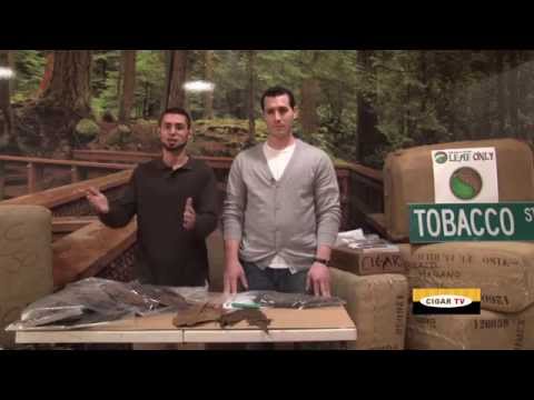 Leaf Only: An Overview.