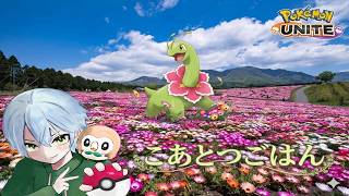 メガメガメガメガメガニウム🌸🌸🌸🌸🦕【参加型🏀ポケモンユナイト🏀part349　こあとつごはん☆】