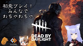 【DBD】でっどばいでいらいと！【初心者】