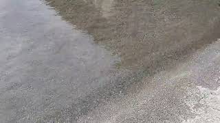 洞爺湖中島上陸