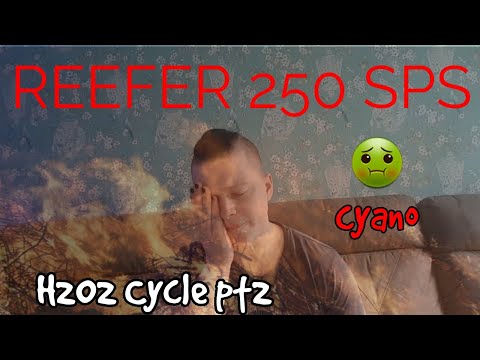 REEFER 250 SPS - S2E14 - WAR ON CYANO | H202 cycle pt2