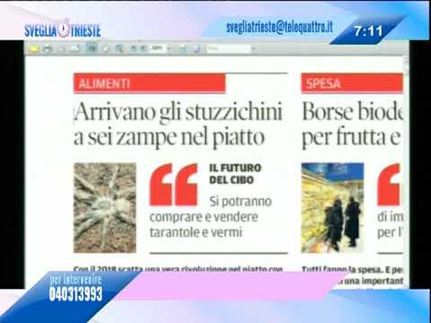 31/12/2017 - RASSEGNA STAMPA