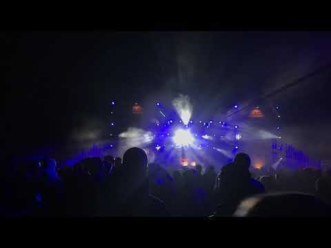 Flinke Pink Into The Wild|2019. Black Edition