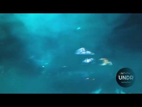 Volkoder @ Warung Beach Club 20/08/2016