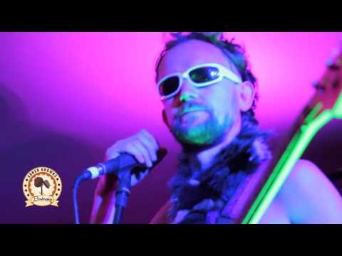 Abner Brown's At Electric Picnic Highlights - 2015