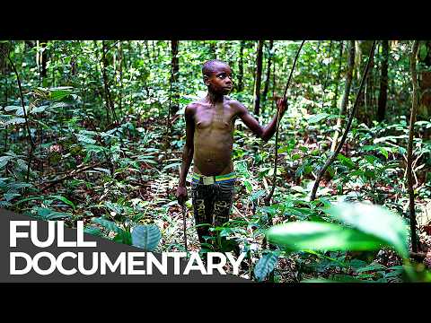 Most Dangerous Ways To School: Cameroon, Mayotte & Mexico