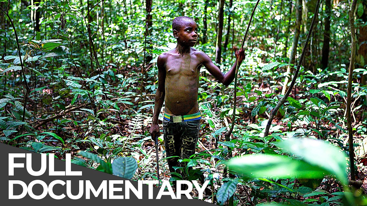 Most Dangerous Ways To School: Cameroon, Mayotte & Mexico