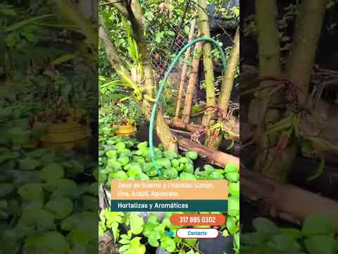 Casa Lote Rivera Huila