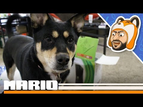 Thrifty Gaming Pickups: Xbox, PS2, PSP, and Controller Haul! - Episode 16