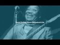 Muddy Waters 100 Tribute album - Got My Mojo ...