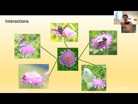 2nd Talk 2021-22: Linking plants and pollinators by Paolo Biella