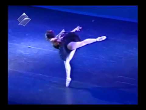 Coda Cisne Negro Cubanas.